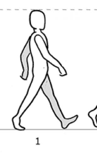 Анимация движения позвоночника во время ходьбы